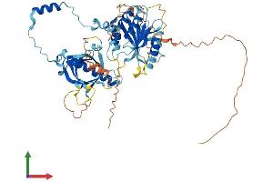 Protein Structure (PS) image for Meiosis 1 Associated Protein (M1AP) (AA 1-529) protein (His tag) (ABIN7556338)