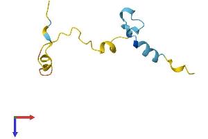 CAMK2N2 Protein (AA 1-79) (Fc Tag)
