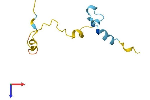 CAMK2N2 Protein (AA 1-79) (Fc Tag)