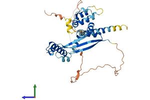 Protein Structure (PS) image for Death Effector Domain Containing 2 (DEDD2) (AA 1-330) protein (His tag) (ABIN7559599)