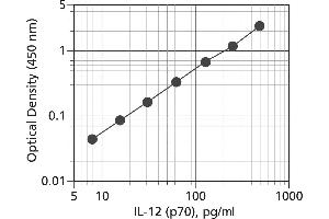 Enzyme Immunoassay (EIA) image for Interleukin 12 (IL12) ELISA Kit (ABIN2690561)