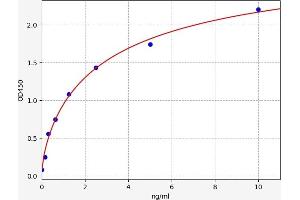 Ephrin A3 ELISA Kit