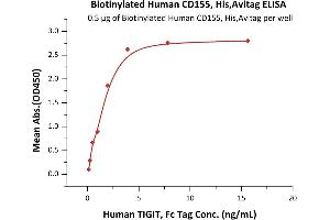 ELISA image for Poliovirus Receptor (PVR) (AA 21-343) (Active) protein (His tag,AVI tag,Biotin) (ABIN6386413)
