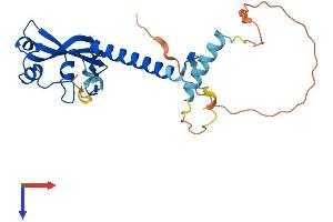 MED6 Protein (AA 1-246) (His tag)