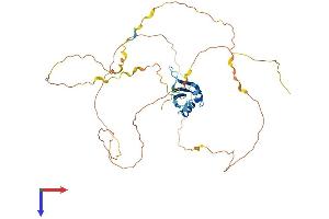 RBMXL1 Protein (AA 1-388) (His tag)