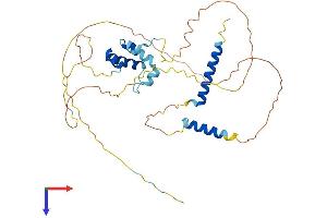 Caspase Activity and Apoptosis Inhibitor 1 (CAAP1) (AA 1-356) protein (His tag)