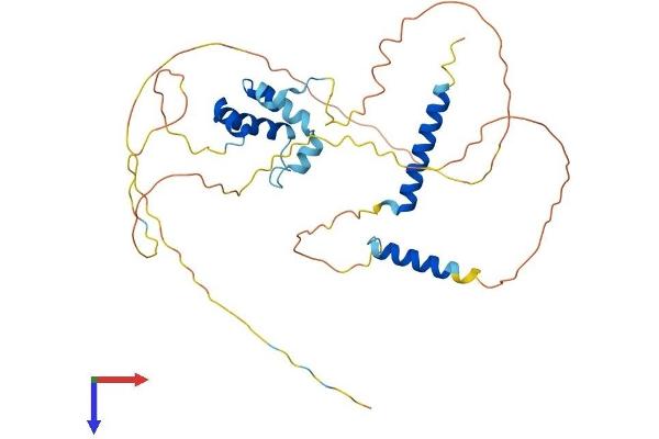 Caspase Activity and Apoptosis Inhibitor 1 (CAAP1) (AA 1-356) protein (His tag)