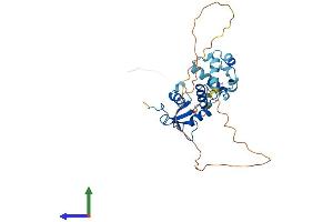 AlphaFold protein structure predicition of Mouse Recombinant Ehf Protein, UniprotID O70273