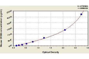 CREB1 ELISA Kit