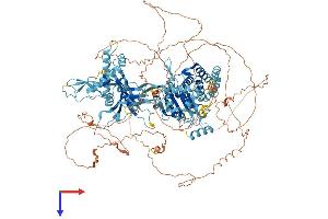 MCM9 Protein (AA 1-1143) (His tag)