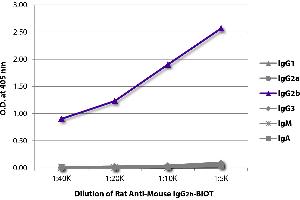 ELISA plate was coated with purified mouse IgG1, IgG2a, IgG2b, IgG3, IgM, and IgA. (Ratte anti-Maus IgG2b Antikörper (Biotin))