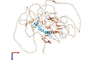Sp3 Protein (AA 1-783) (His tag)