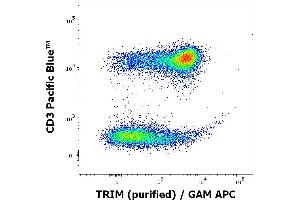 Flow cytometry multicolor intracellular staining of human peripheral whole blood stained using anti-LAT (LAT-01) purified antibody (concentration in sample 1 μg/mL, GAM APC) and anti-human CD3 (UCHT1) Pacific Blue antibody (20 μL reagent / 100 μL of peripheral whole blood).