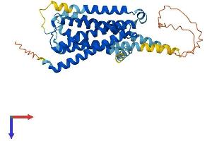 Serotonin Receptor 1E Protein (HTR1E) (AA 1-365) (His tag)