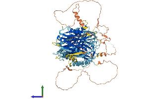 AlphaFold protein structure predicition of Mouse Recombinant C2cd5 Protein, UniprotID Q7TPS5