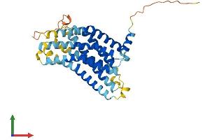 Protein Structure (PS) image for G Protein-Coupled Receptor 146 (GPR146) (AA 1-333) protein (His tag) (ABIN7548007)