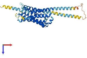 HTR1F Protein (AA 1-366) (His tag)