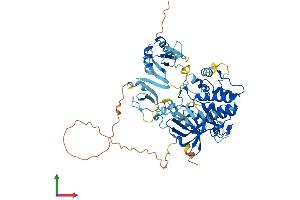 Protein Structure (PS) image for Protein Kinase C, zeta (PRKCZ) (AA 1-592) protein (His tag) (ABIN7563584)
