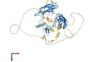 SYTL4 Protein (AA 1-673) (His tag)