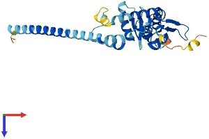 SNF8 Protein (AA 1-258) (His tag)