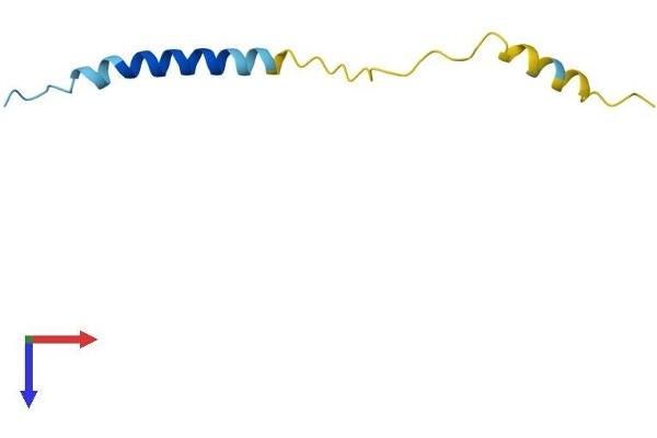 Mitochondrially Encoded ATP Synthase 8 (MT-ATP8) (AA 1-68) protein (Fc Tag)