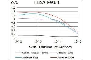 Red: Control Antigen (100 ng), Purple: Antigen (10 ng), Green: Antigen (50 ng), Blue: Antigen (100 ng), (TBL1XR1 Antikörper)