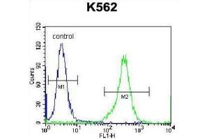 Flow Cytometry (FACS) image for anti-Kell Blood Group, Metallo-Endopeptidase (KEL) antibody (ABIN2998314)