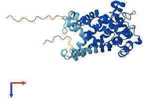 SLC25A31 Protein (AA 1-320) (His tag)