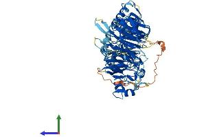 Protein Structure (PS) image for Leucine-Rich Repeat and WD Repeat-Containing Protein 1 (LRWD1) (AA 1-647) protein (His tag) (ABIN7554442)