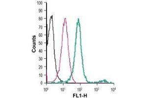 Flow Cytometry (FACS) image for anti-Egf-Like Module Containing, Mucin-Like, Hormone Receptor-Like 1 (EMR1) (AA 58-72), (Extracellular) antibody (FITC) (ABIN7043116)