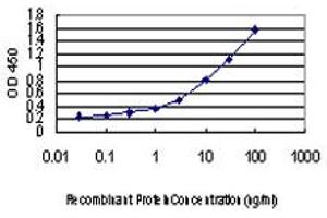 Detection limit for recombinant GST tagged IRF4 is approximately 0. (IRF4 Antikörper  (AA 342-451))