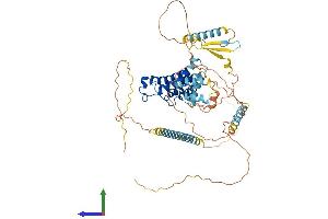 AlphaFold protein structure predicition of Human Recombinant BRD9 Protein, UniprotID Q9H8M2