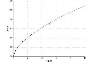 Trans-Golgi Network Protein 2 (TGOLN2) ELISA Kit