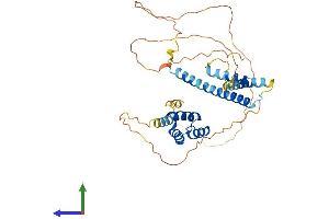 Protein Structure (PS) image for Meis Homeobox 1 (MEIS1) (AA 1-390) protein (His tag) (ABIN7557638)