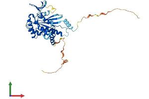 Protein Structure (PS) image for Septin 12 (Sep12) (AA 1-358) protein (His tag) (ABIN7545971)