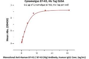 Immobilized Cynomolgus B7-H3, His Tag (ABIN6923172,ABIN6938824) at 2 μg/mL (100 μL/well) can bind Monoclonal A B7-H3 / B7-H3 (4Ig) Antibody, Human IgG1 with a linear range of 0.