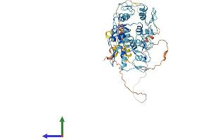 AlphaFold protein structure predicition of Human Recombinant ZNF880 Protein, UniprotID Q6PDB4