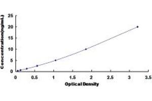 Typical standard curve (PPM1A ELISA Kit)