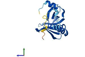 Protein Structure (PS) image for Pleckstrin Homology Domain Containing, Family J Member 1 (PLEKHJ1) (AA 1-149) protein (His tag) (ABIN7550762)
