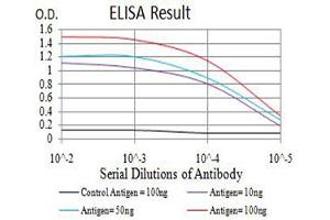 Black line: Control Antigen (100 ng),Purple line: Antigen (10 ng), Blue line: Antigen (50 ng), Red line:Antigen (100 ng) (CIRBP Antikörper  (AA 1-90))