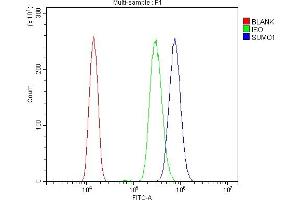 Flow Cytometry analysis of HL-60 cells using anti-Sumo 1/SUMO1 antibody (ABIN7603002). (SUMO1 Antikörper  (Middle Region))