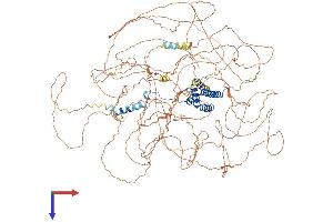 EMSY Protein (AA 1-1264) (His tag)