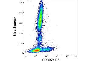 Flow cytometry surface staining pattern of human peripheral whole blood stained using anti-human CD307c (H5) PE antibody (10 μL reagent / 100 μL of peripheral whole blood). (FCRL3 Antikörper  (PE))