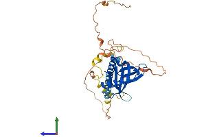 Protein Structure (PS) image for Low Density Lipoprotein Receptor Adaptor Protein 1 (LDLRAP1) (AA 1-308) protein (His tag) (ABIN7559098)