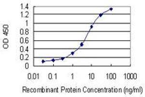 Detection limit for recombinant GST tagged MYOZ2 is 0. (MYOZ2 Antikörper  (AA 1-264))