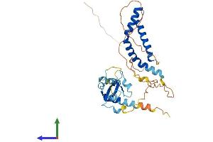 Protein Structure (PS) image for Deoxynucleotidyltransferase, Terminal, Interacting Protein 1 (DNTTIP1) (AA 1-328) protein (His tag) (ABIN7560356)
