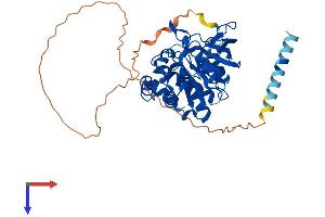 PTPN1 Protein (AA 1-432) (His tag)