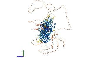 Protein Structure (PS) image for Inositol Polyphosphate Phosphatase-Like 1 (INPPL1) (AA 1-1257) protein (His tag) (ABIN7564086)