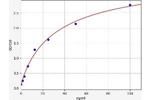 Typical standard curve (IgY ELISA Kit)