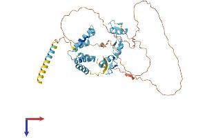 ZNF174 Protein (AA 1-407) (His tag)